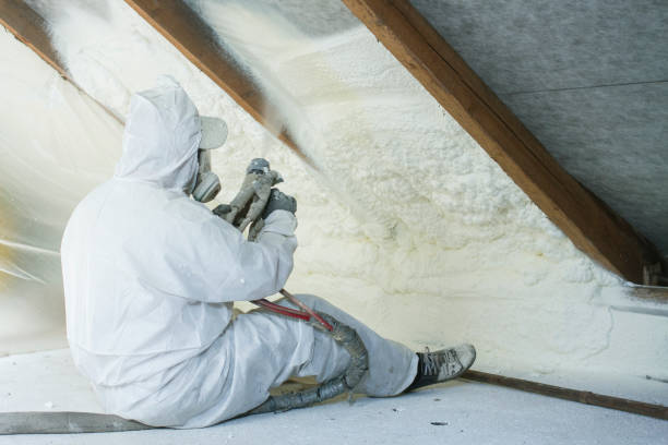 Best Garage Insulation  in Laurens, IA