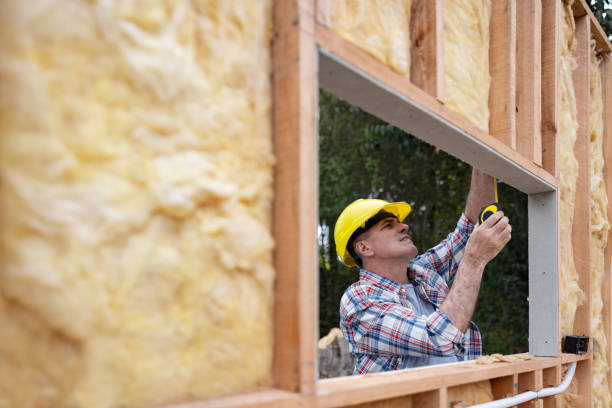 Best Basement Insulation  in Laurens, IA