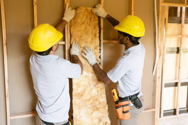 Best Blown-In Insulation  in Laurens, IA